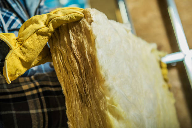 Best Home Insulation Services  in Winfield, IL