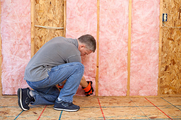 Best Insulation Replacement Services  in Winfield, IL